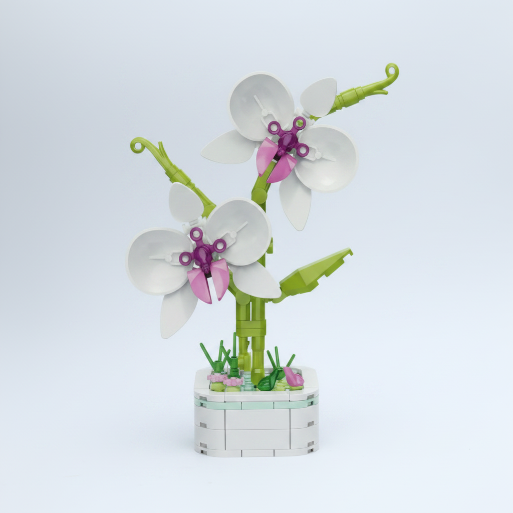 Orchid Bloom
