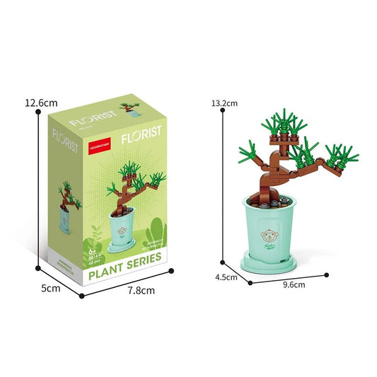 Florist Plant Series – Bonsai Tree Pot